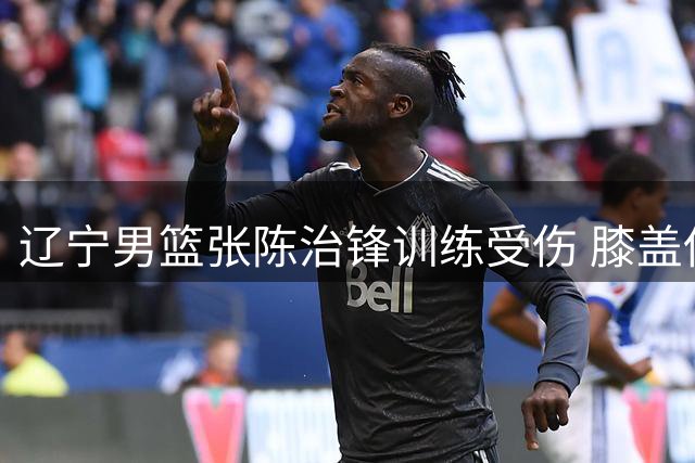 辽宁男篮张陈治锋训练受伤 膝盖伤势较轻需静养